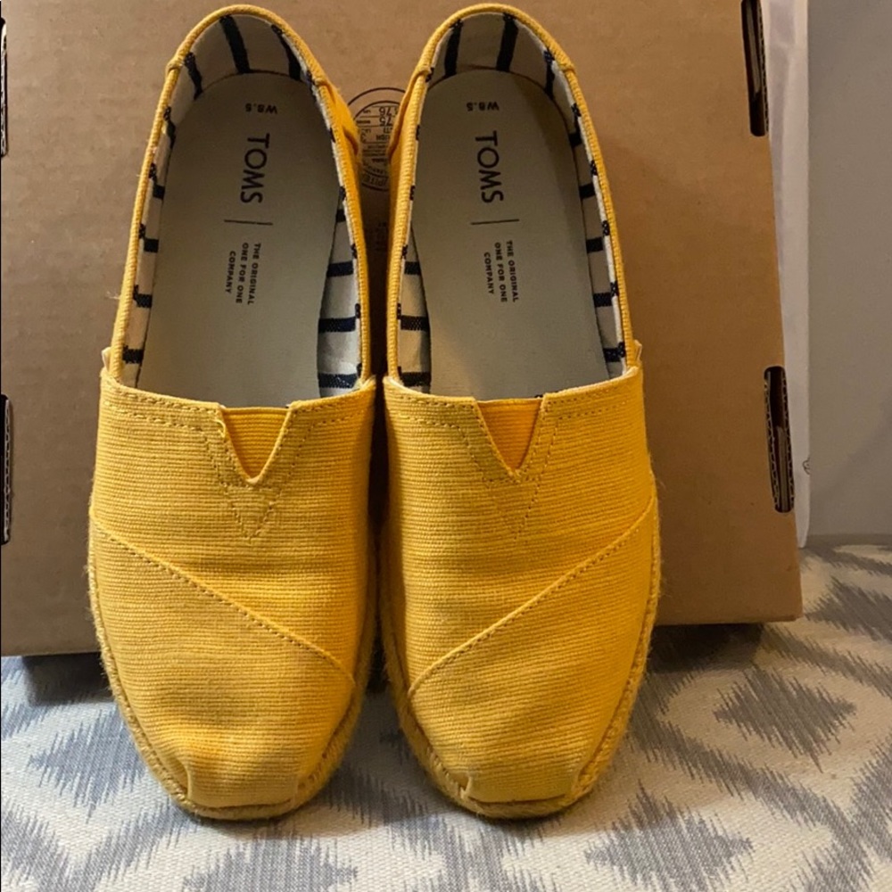 Yellow Toms, 8.5